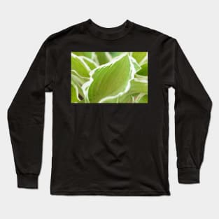 Hosta  &#39;Francee&#39;   AGM  Plantain lily  fortunei Long Sleeve T-Shirt